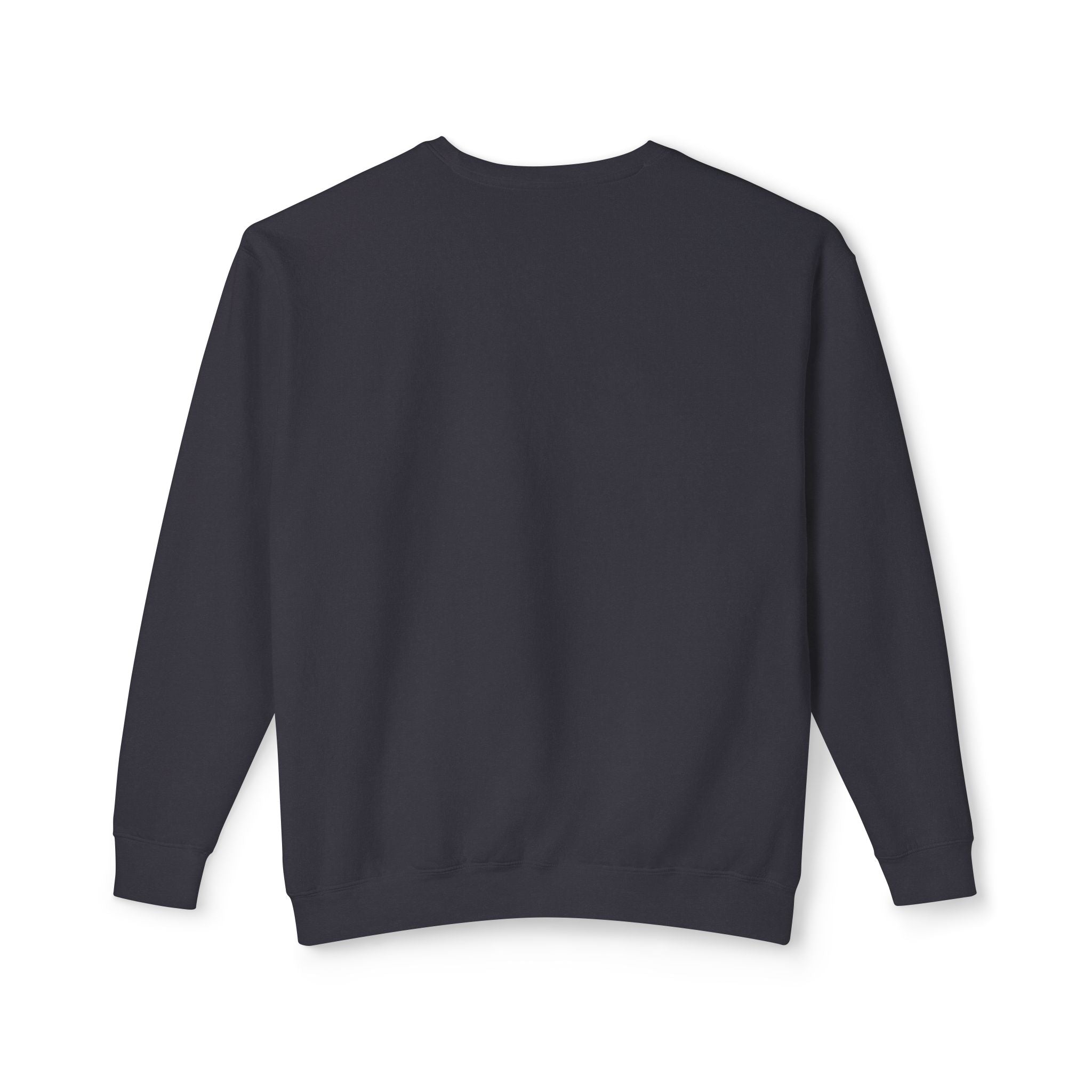 Overlapping Rings Crewneck Sweatshirt | Minimal Geometric Design