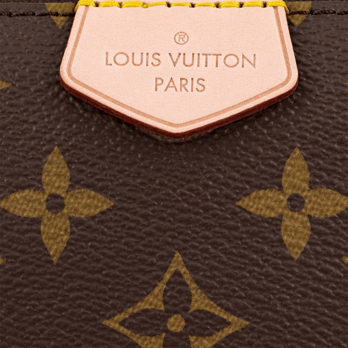 The Mini Pochette Accessoires and Round Coin Purse detached from the main bag