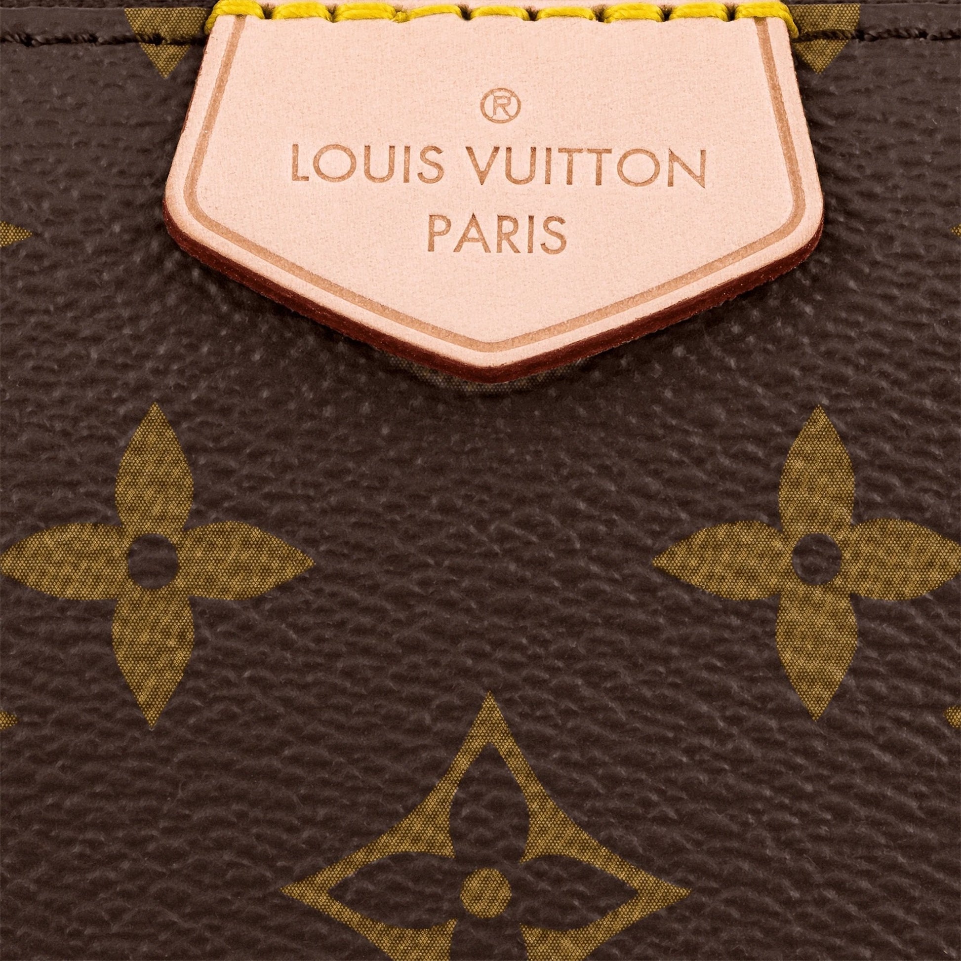 The Mini Pochette Accessoires and Round Coin Purse detached from the main bag