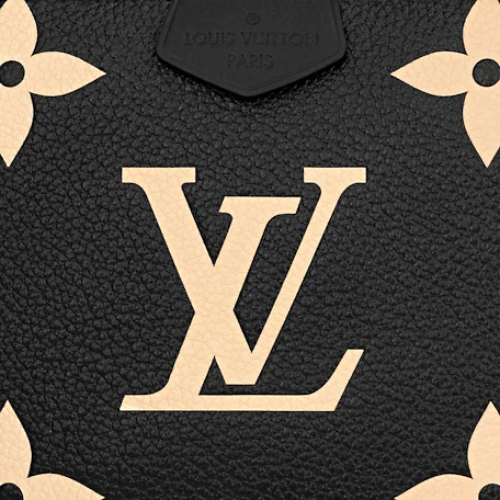 The bag being carried with its removable gold-tone chain.
