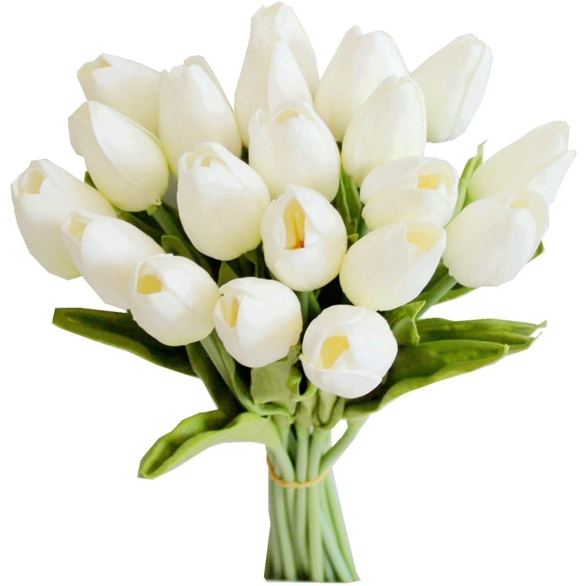 Bouquet of white tulips on a white background