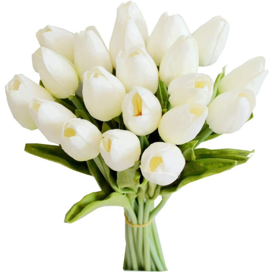 Bouquet of white tulips on a white background