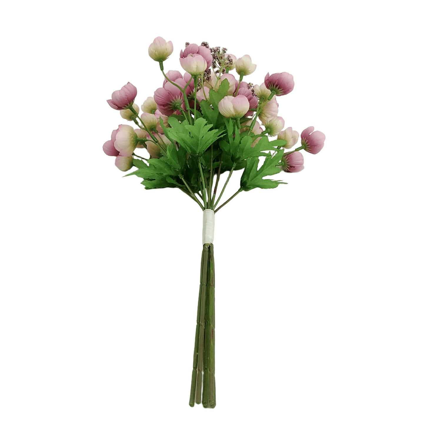 Bouquet of pink and green flowers on a white background