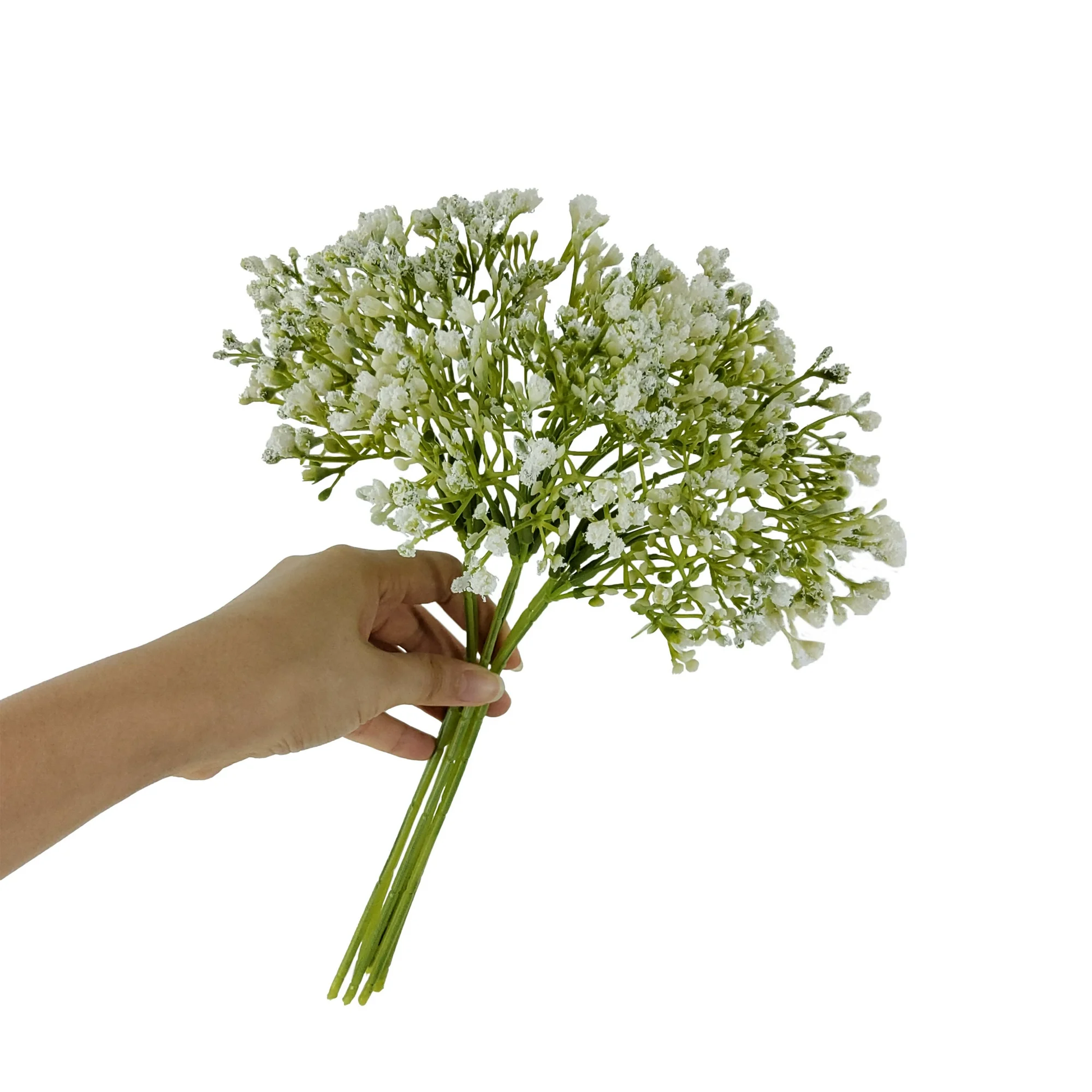 Hand holding a bouquet of white flowers on a white background