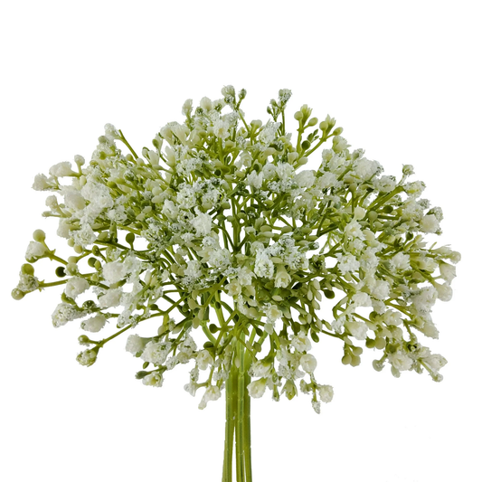 Bouquet of white flowers with green stems on a white background